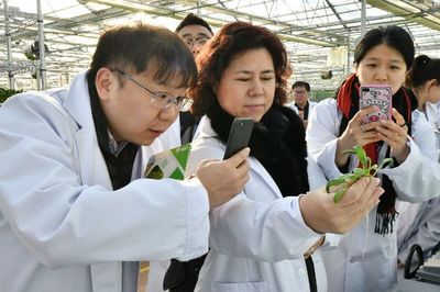 2019北京跨年促销节品质升级 水培蔬菜点缀绿色生活